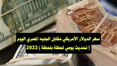 سعر الدولار الأمريكي مقابل الجنيه المصري اليوم ( تحديث يومي لحظة بلحظة ) 2022