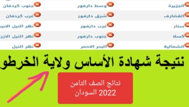 “ظهرت الان" نتائج شهادة الأساس 2022 ولاية الخرطوم ” نتائج الصف الثامن ” عبر البوابة الإلكترونية نتائج السودان Moed gov .sd