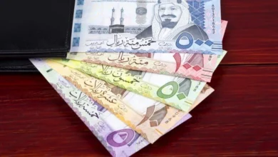 تحديث لحظة بلحظة ..سعر الريال السعودي في السوق السوداء اليوم الأحد 25 فبراير 2024